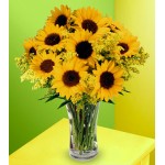 Sunflowers - 12 Stems in Vase 