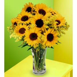 Sunflowers - 12 Stems in Vase 