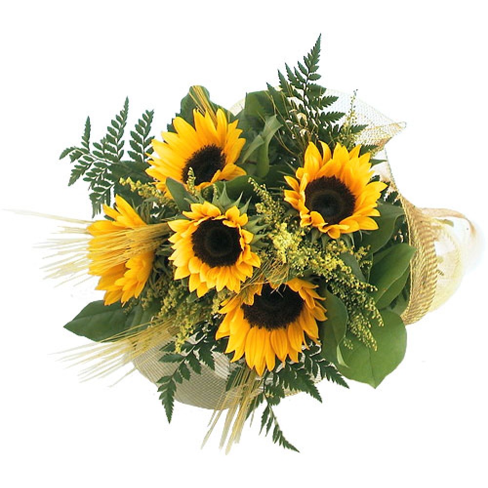 Fall Sunflowers - 5 Stems