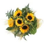 Fall Sunflowers - 5 Stems