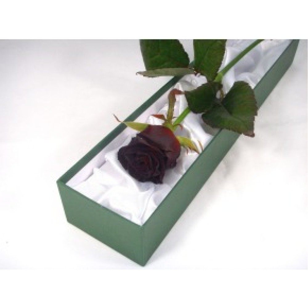 Luxurious Black - 1 Stem Bouquet