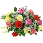 Rainbow Carnation Bouquet - 20 Stems Bouquet