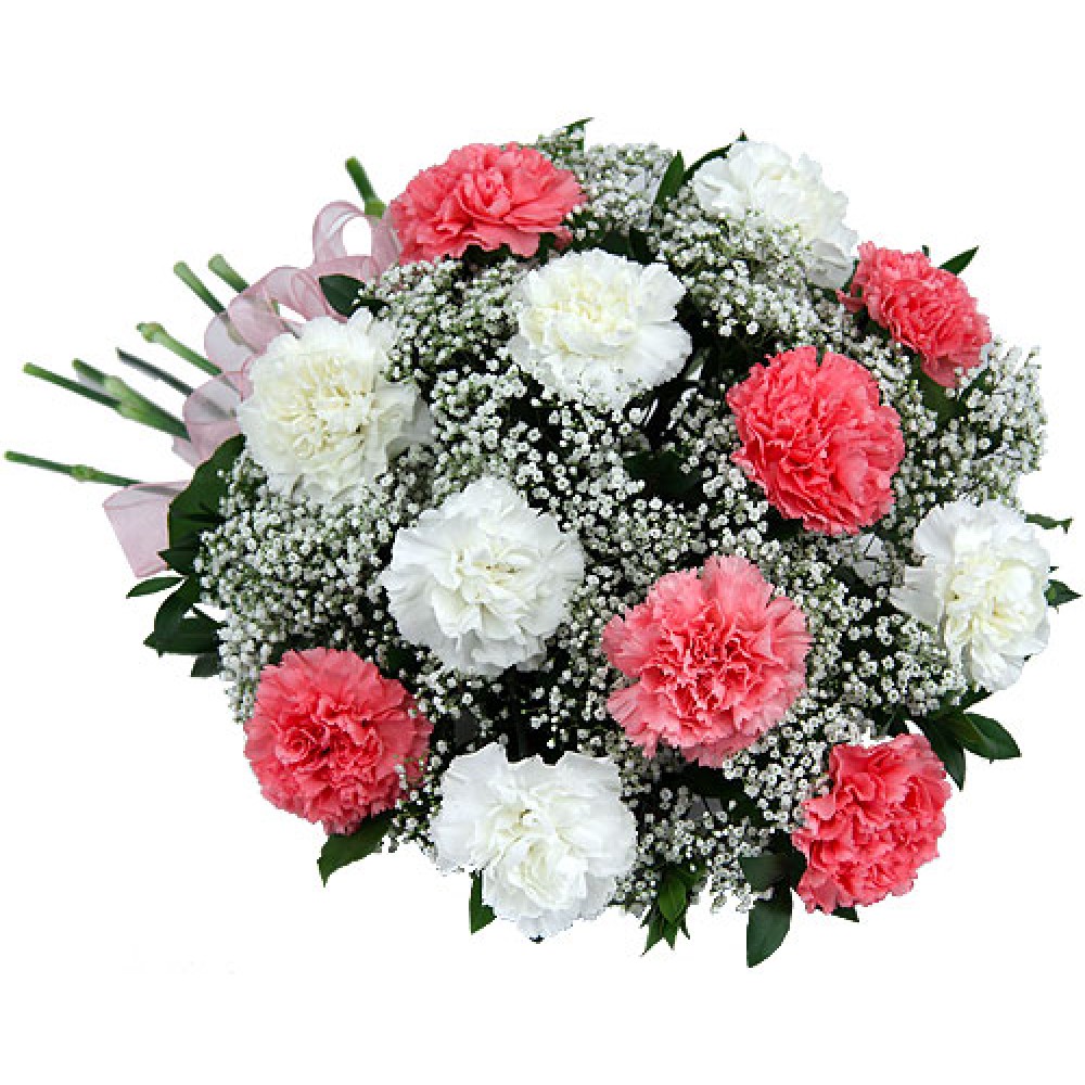 Pink & White Carnations - 12 Stems Bouquet