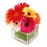 Delightful Daisies - 10 Stems Vase