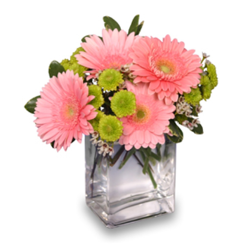 Fruit Sorbet - 4 Stems Vase