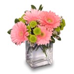 Fruit Sorbet - 4 Stems Vase