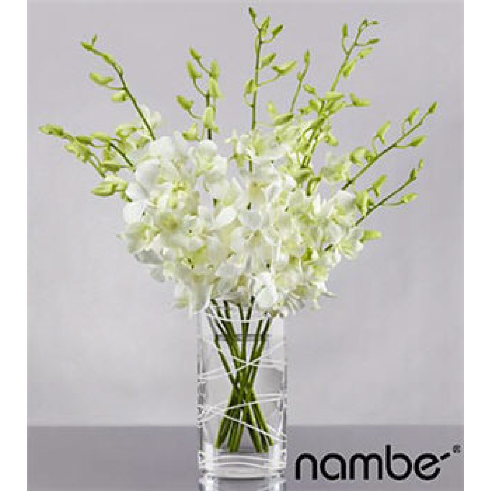 Distant Dreams Orchid - 10 Stems