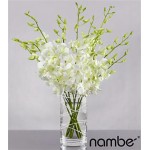 Distant Dreams Orchid - 10 Stems