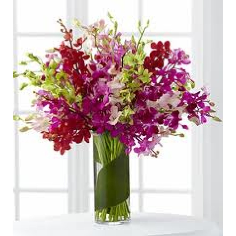 Luminous Luxury Orchid - 30 Stems