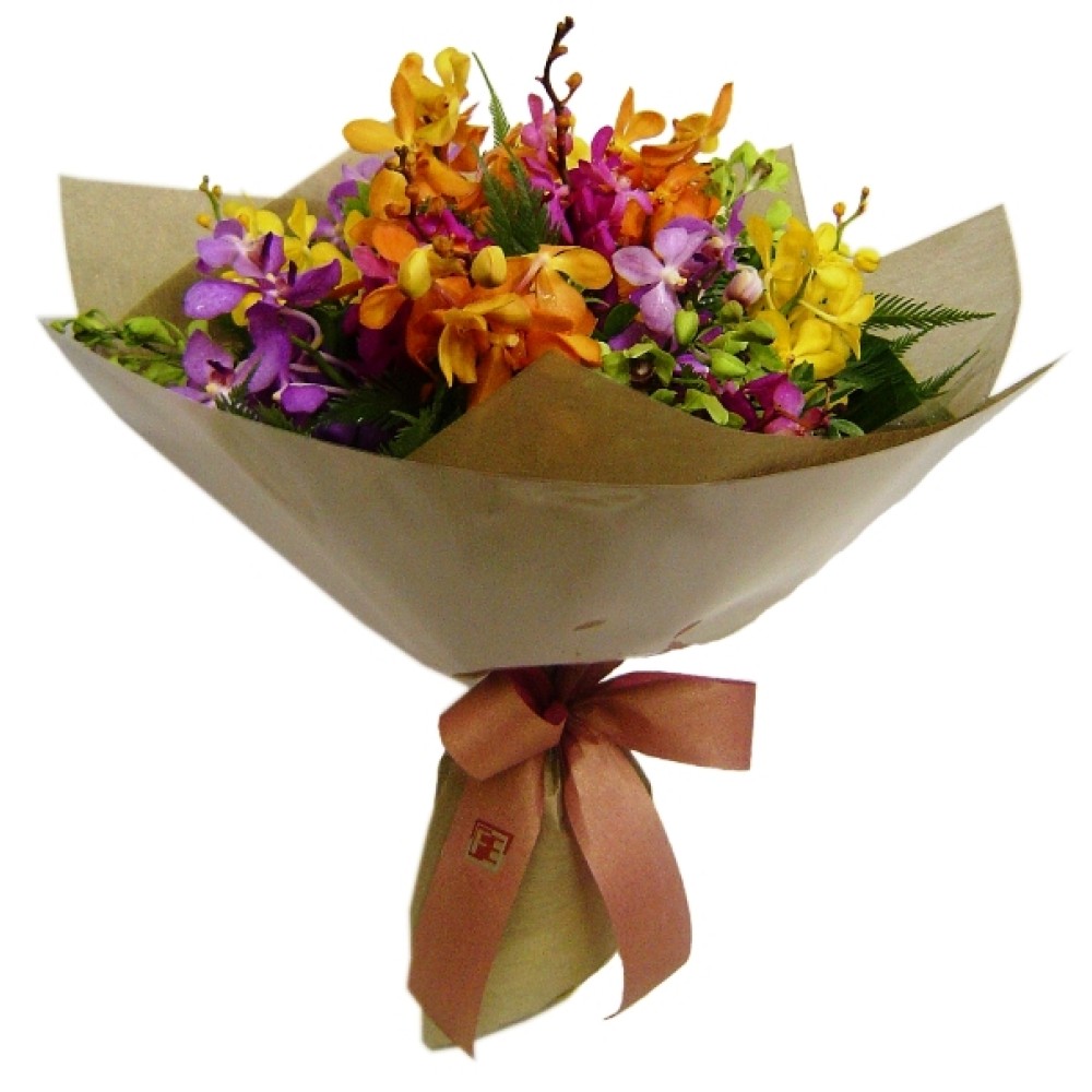 Assorted Orchids - 12 Stems