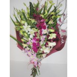Exotic Orchid 12 Stems