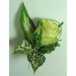 Absolutely Yours - 1 Stem  Bouquet